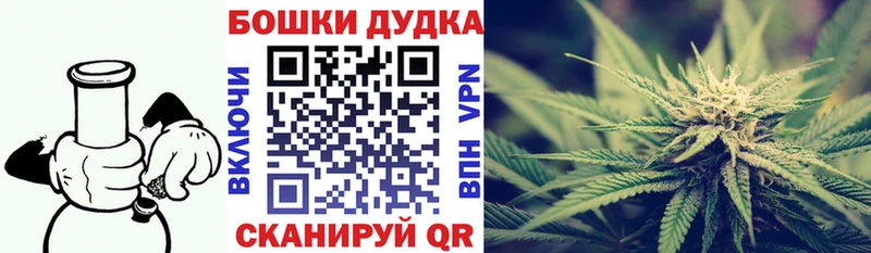 Бошки Шишки семена Ртищево